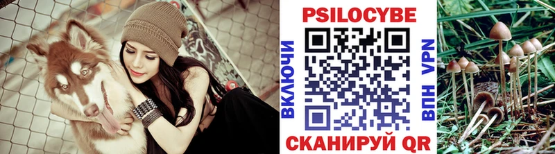 Галлюциногенные грибы GOLDEN TEACHER  Краснокаменск 